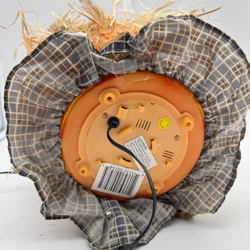 Pumpkin Hollow Fiber Optic Scarecrow Halloween Decor 11
